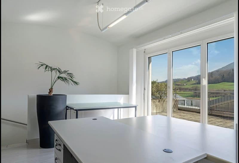 Bright, minimalist room with white walls, large windows, a sleek white table, a chair, and a tall black planter with a leafy plant.