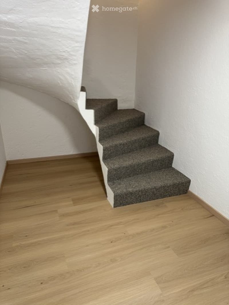 Spiral staircase with carpeted steps and wooden landing, white walls.
