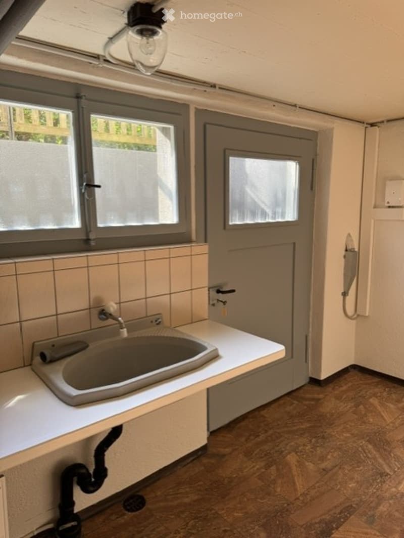 Bathroom with a white countertop, sink, and mirror. The room features wooden flooring and a grey door.
