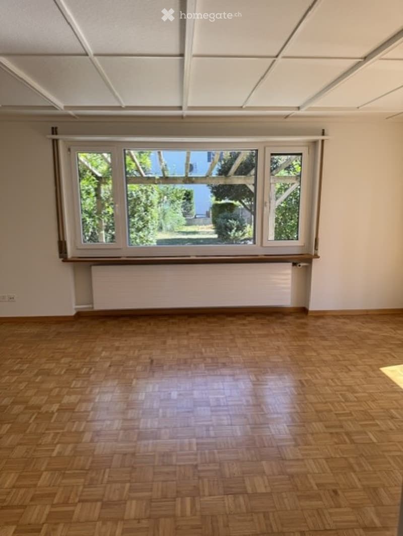 Empty room with wooden parquet flooring, large window with multiple panes, radiator below the window, and white walls.