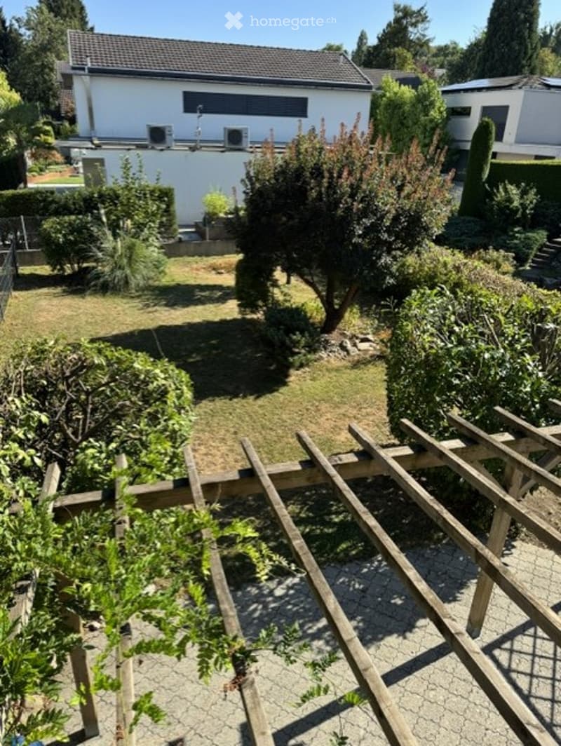 Well-maintained garden with a wooden pergola, neatly trimmed hedges, and a small tree. The area includes a paved patio and a grassy lawn, with a house visible in the background.