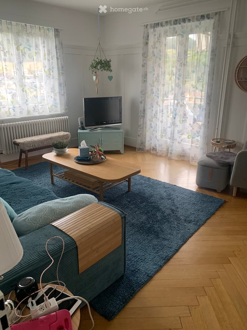 A modern living room with a blue sofa, wooden coffee table, television on a cabinet, and a hanging plant. The room features wooden flooring, large windows with floral curtains, and a blue rug.