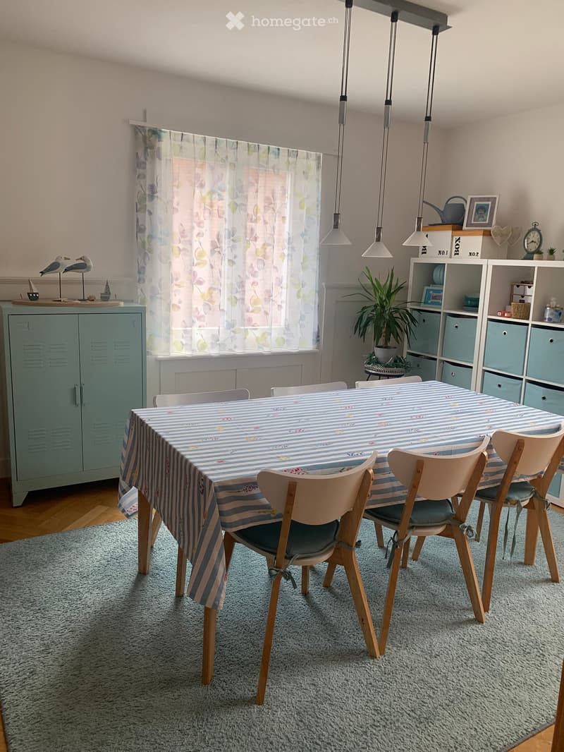 Dining area with a table covered in a blue and white striped tablecloth, surrounded by six wooden chairs. A light blue cabinet is on the left, and a white shelving unit with storage boxes is on the right. A potted plant sits on a small table near the wind
