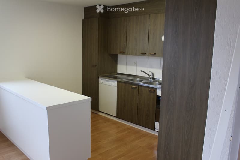 modern kitchen with wooden cabinets, white countertop, stainless steel sinks, dishwasher, washing machine, power outlet