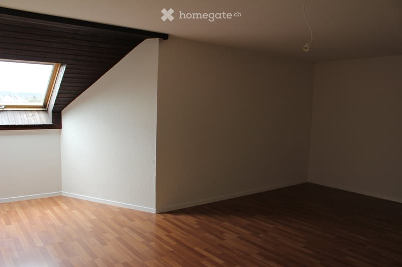 Empty room with hardwood floor, slanted roof, wall with window, ceiling with a plug, light wall