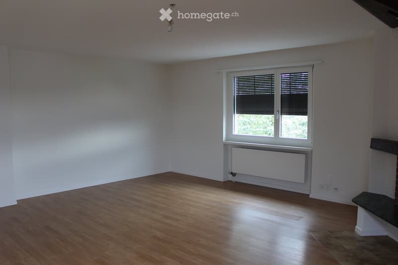 Fireplace, radiator, hardwood floor, window with blinds