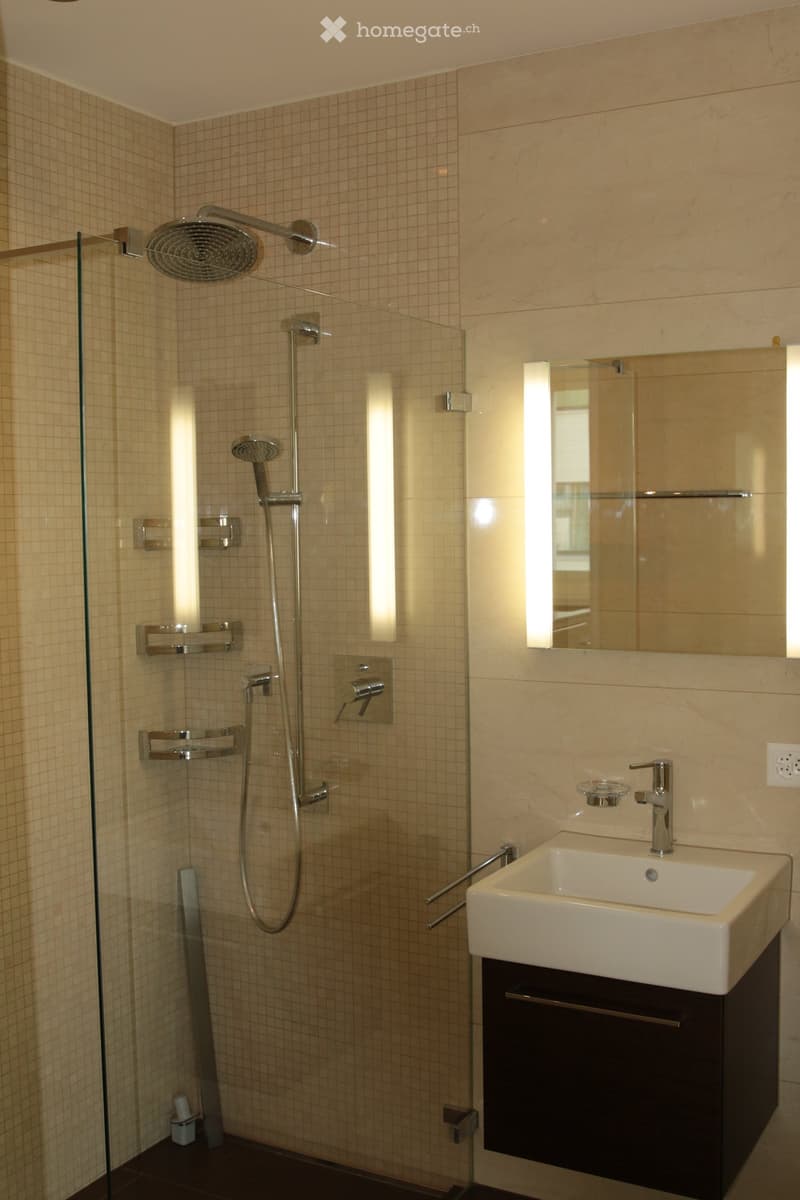 Modern bathroom with a glass-enclosed shower, a white sink with a modern faucet, and a large mirror above the sink. The shower features multiple showerheads and built-in shelves.