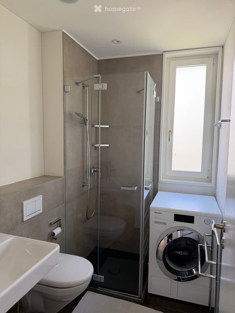 Modern bathroom with a glass-enclosed shower, toilet, sink, and a private washing machine. The shower features a handheld sprayer and a fixed overhead sprayer. The walls are tiled in a neutral color, and the floor is dark.
