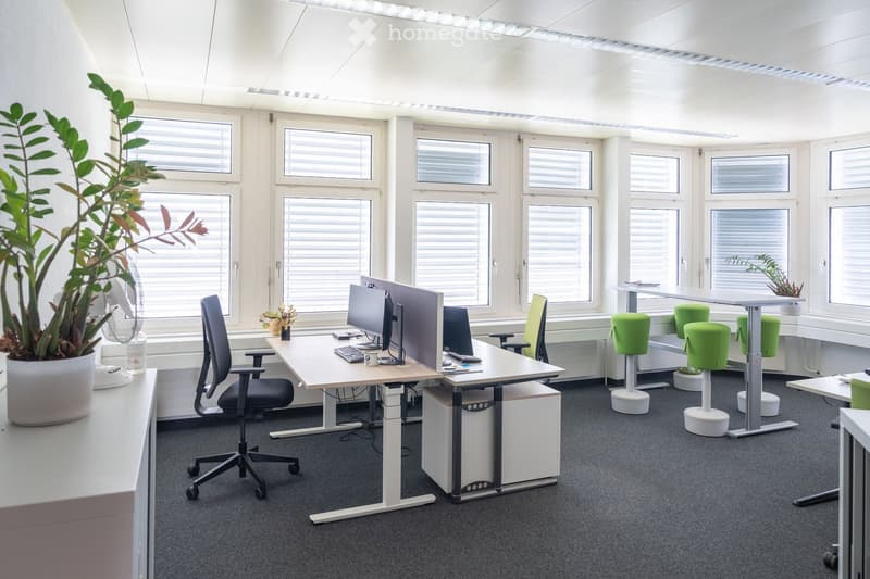 Modern office space with desks, ergonomic chairs, computers, green stools, and potted plants near large windows with blinds.
