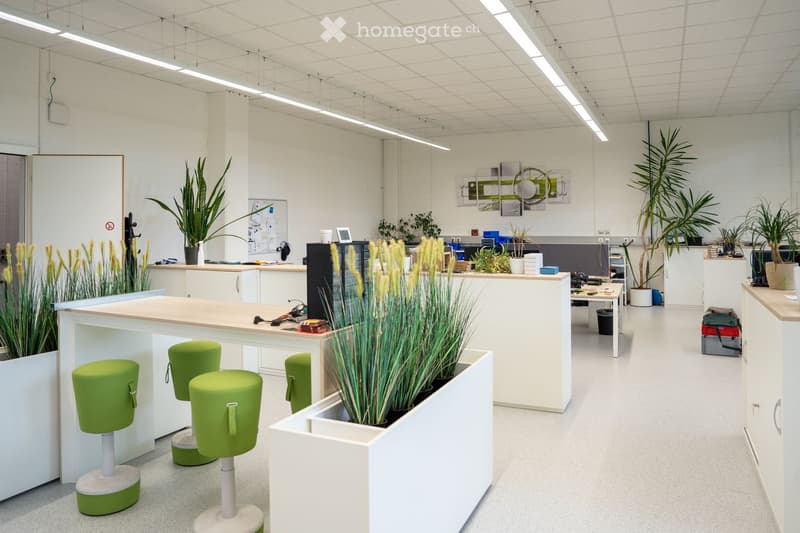 Modern office space with white walls, green stools, tables, and various plants. There are multiple screens, a refrigerator, and office equipment visible.