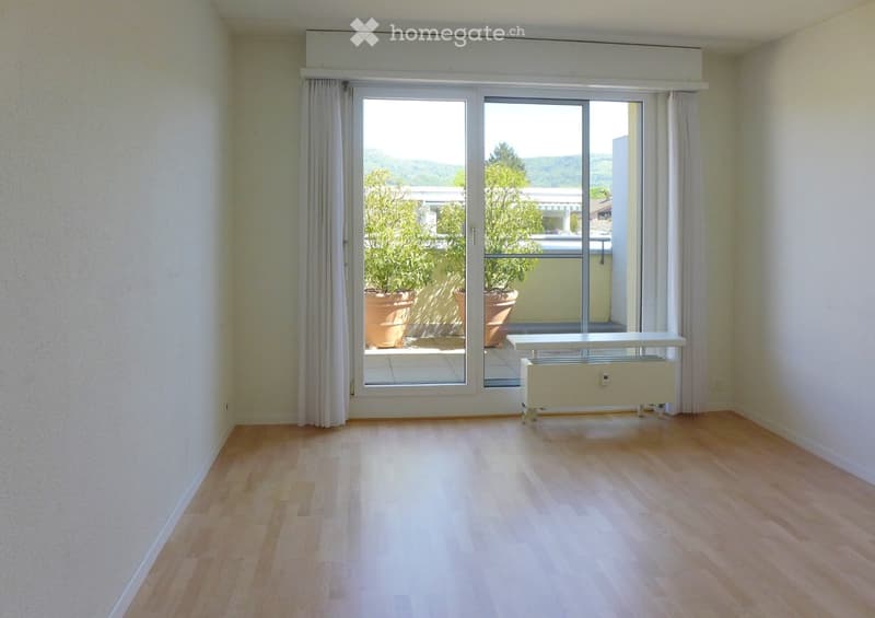 Empty room with wooden flooring, large window with white curtains, radiator, and a view of a balcony with potted plants.