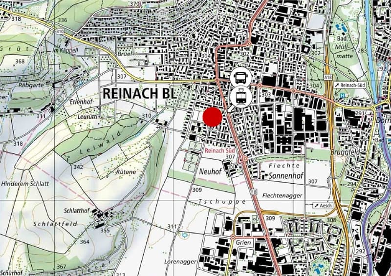 Map of Reinach BL showing streets, buildings, and transportation routes.