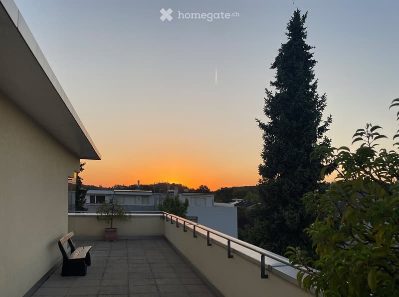 Balcony with tiled floor, metal railing, bench, potted plant, overlooking a sunset view with trees and distant buildings.
