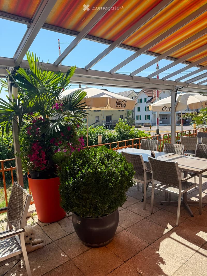 A covered outdoor terrace with a tiled floor, several wicker chairs and tables, large potted plants, and umbrellas. The area is well-lit with natural light and offers a view of the surrounding neighborhood.