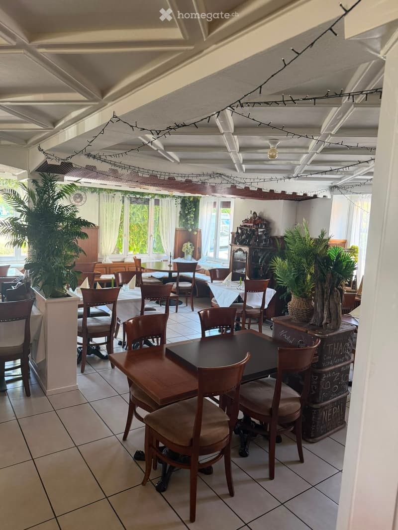 A well-lit dining area with wooden tables and chairs, large windows with curtains, and decorative plants.