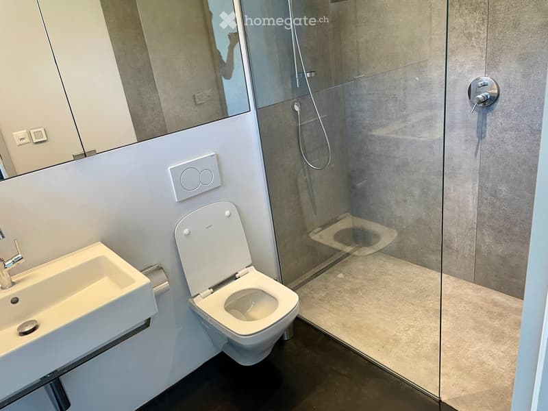 Modern bathroom with a white sink, toilet, and glass-enclosed shower. Features a sleek design with a large mirror and modern fixtures.