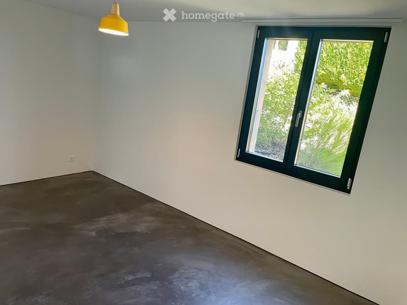 Empty room with white walls, dark concrete floor, and a large window with green frame showing outdoor greenery.
