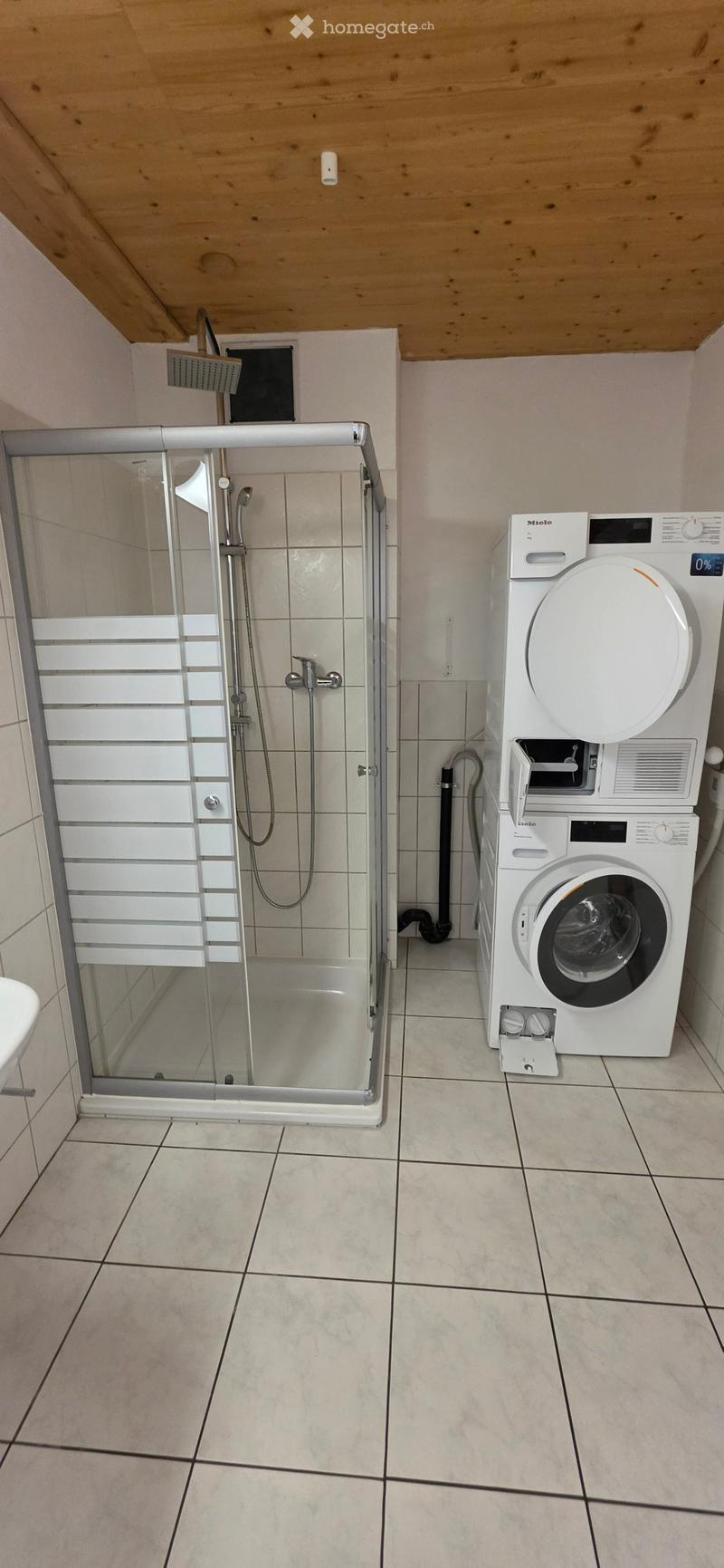 Modern bathroom with a tiled shower stall and a white washing machine. The shower has a glass door and a handheld showerhead.
