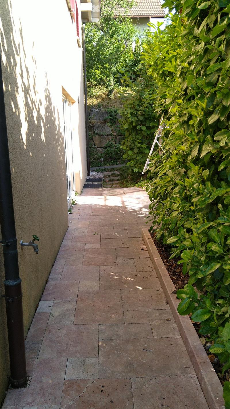 A narrow, sunlit pathway between two buildings, bordered by lush green foliage and a beige wall on one side.