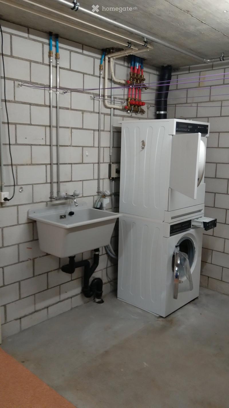 Utility room with a sink, washing machine, and dishwasher, surrounded by exposed pipes and a brick wall.