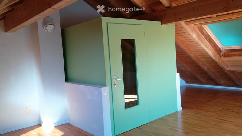 Empty room with wooden flooring, white walls, and a green closet with a mirrored door. The room features exposed wooden beams on the ceiling and a skylight allowing natural light to enter.