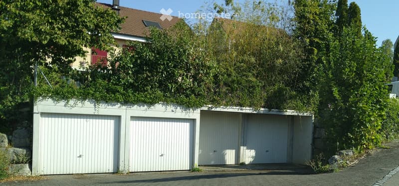 A multi-car garage with white doors, situated next to a house with a tiled roof and greenery on the wall.