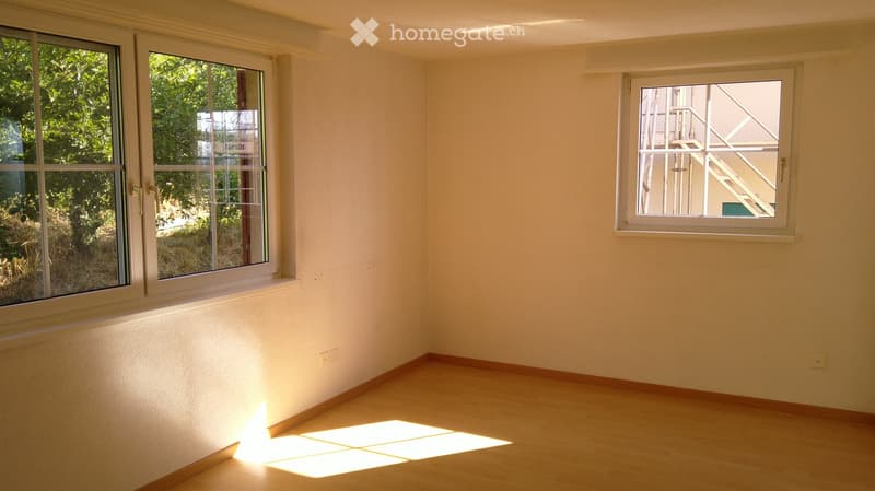 Empty room with light-colored walls and wooden flooring, featuring two windows with white frames and visible natural light streaming in.