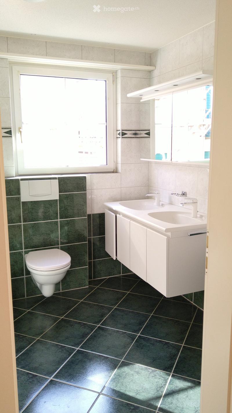 Modern bathroom with dark green tiles, white sink, toilet, and mirrored cabinet.