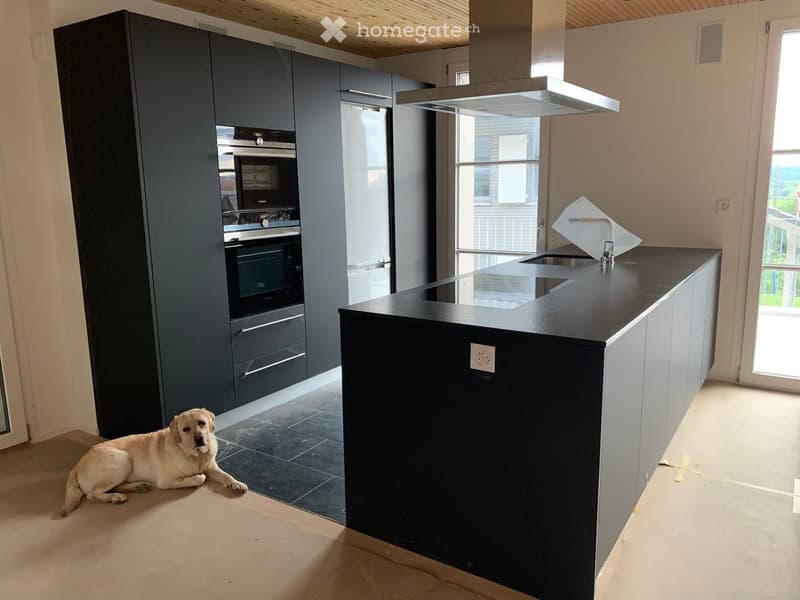 Modern kitchen with dark grey cabinets, stainless steel appliances, and a central island. A dog is lying on the floor near the cabinets.