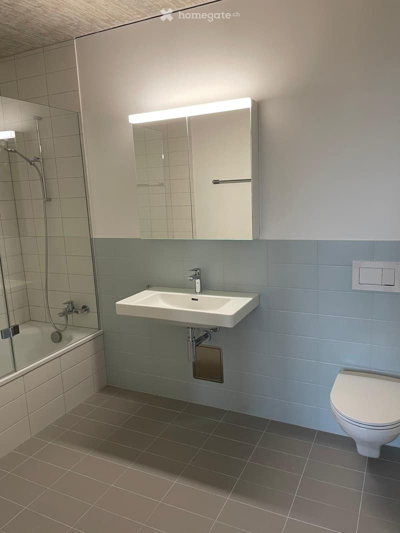 Modern bathroom with a white sink, mirror cabinet, toilet, and a glass-enclosed shower area.
