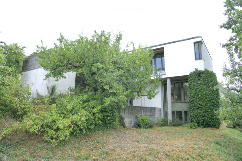 Modern two-story house with white exterior, large windows, and a balcony, partially surrounded by overgrown vegetation and trees.
