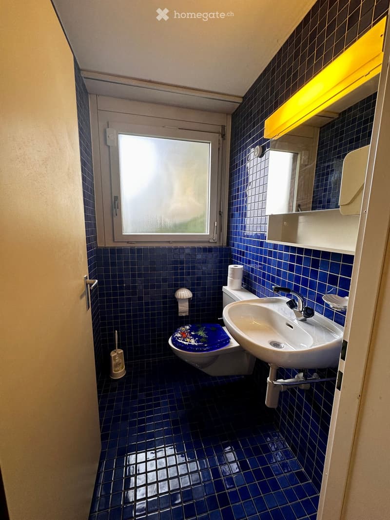 Small bathroom with blue tiled walls and floor, featuring a toilet, sink, mirror, and toilet paper holder.