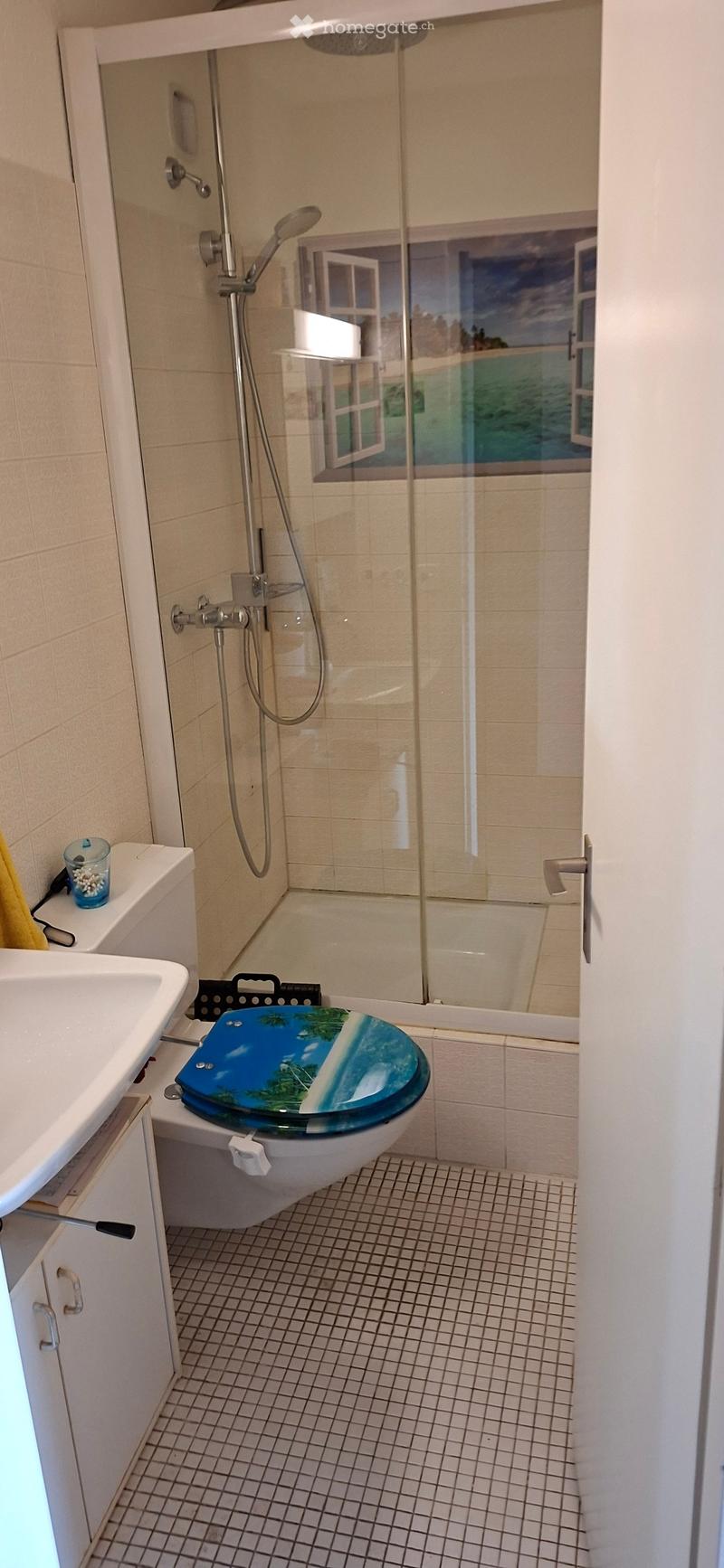 Modern bathroom with a glass-enclosed shower, a toilet with a decorative seat cover, a sink, and a towel on the cabinet.