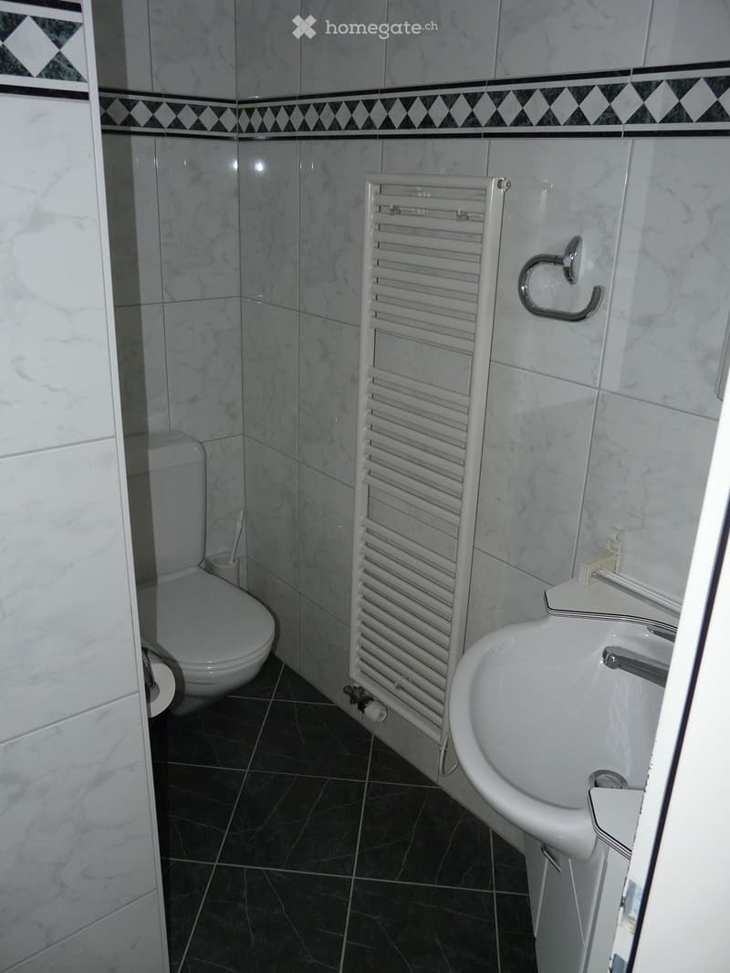 Modern bathroom with white marble tiles, black tiled floor, toilet, sink, radiator, and toothbrush holder.