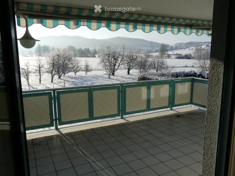 Balcony with tiled floor, green railing, striped awning, and scenic snowy landscape view.