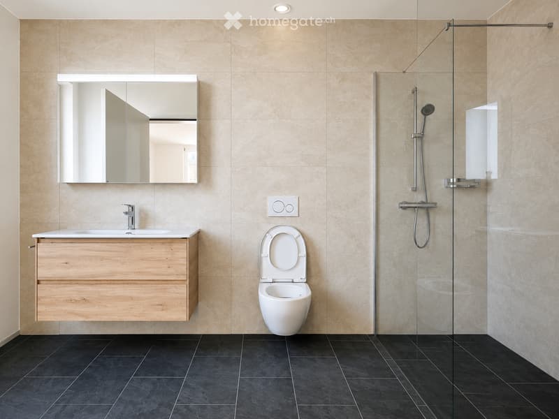 Modern bathroom with light wooden vanity, white sink, chrome faucet, large mirror, toilet, and glass-enclosed shower with modern fixtures.