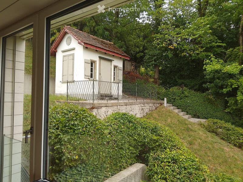 View from a window shows a small white shed with a red roof, surrounded by greenery and a concrete retaining wall.