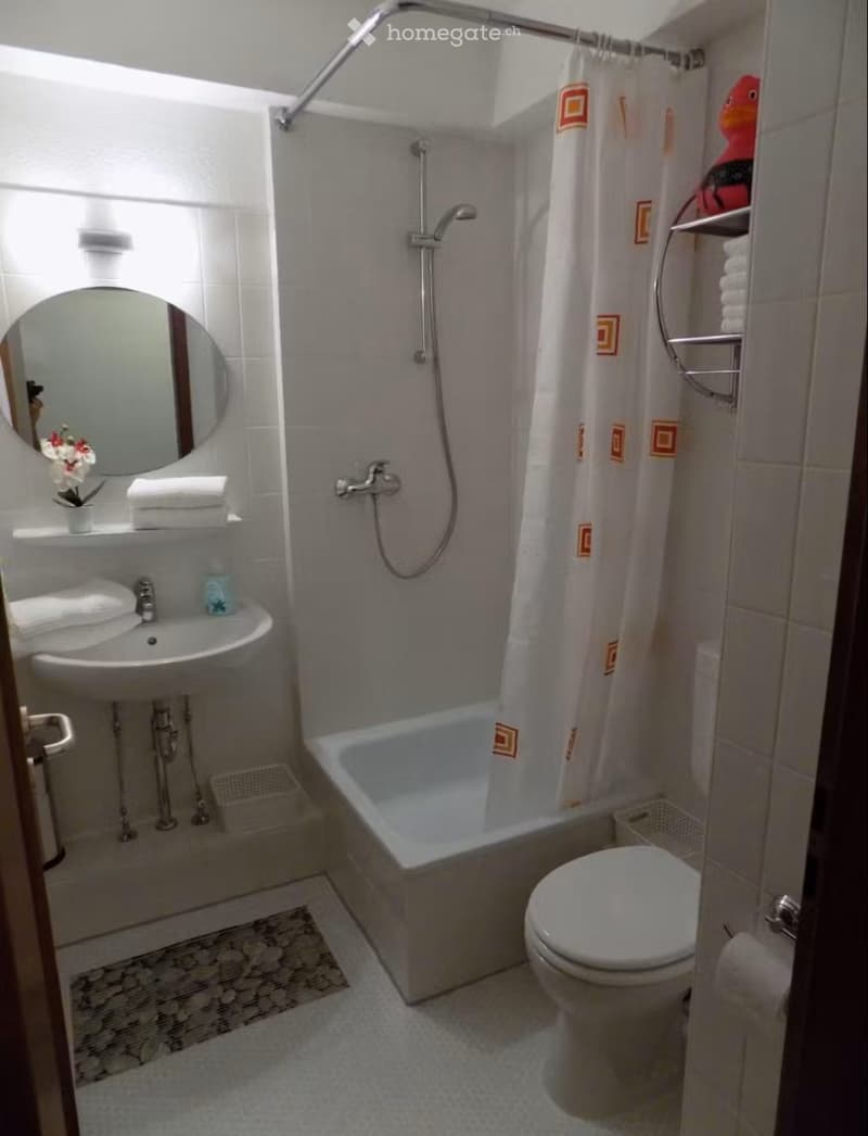 Modern bathroom with a bathtub, toilet, sink, mirror, and shower curtain. Includes towels, a small flower arrangement, and a decorative rug on the floor.