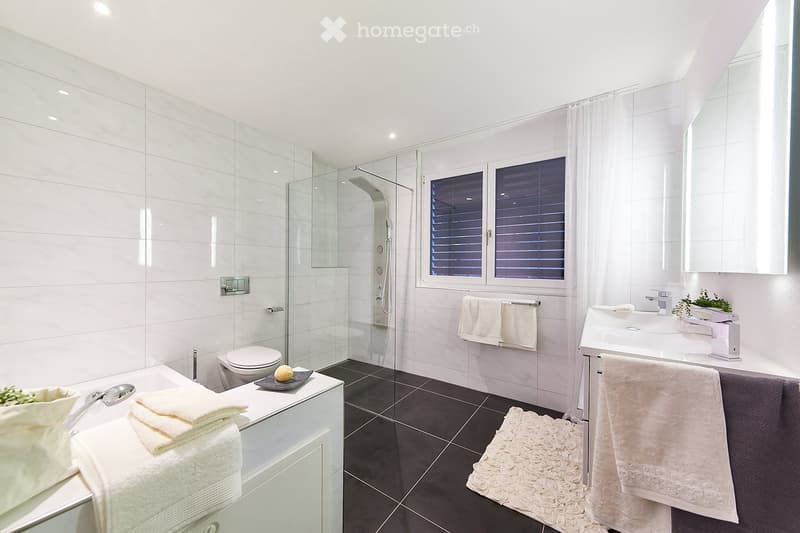 white tiled walls, black tiles on floor, glass shower enclosure, white modern sink, silver fixtures, glass rain shower head, vanity storage with folded towels, white bath towels, small potted plant on sink, rug next to sink