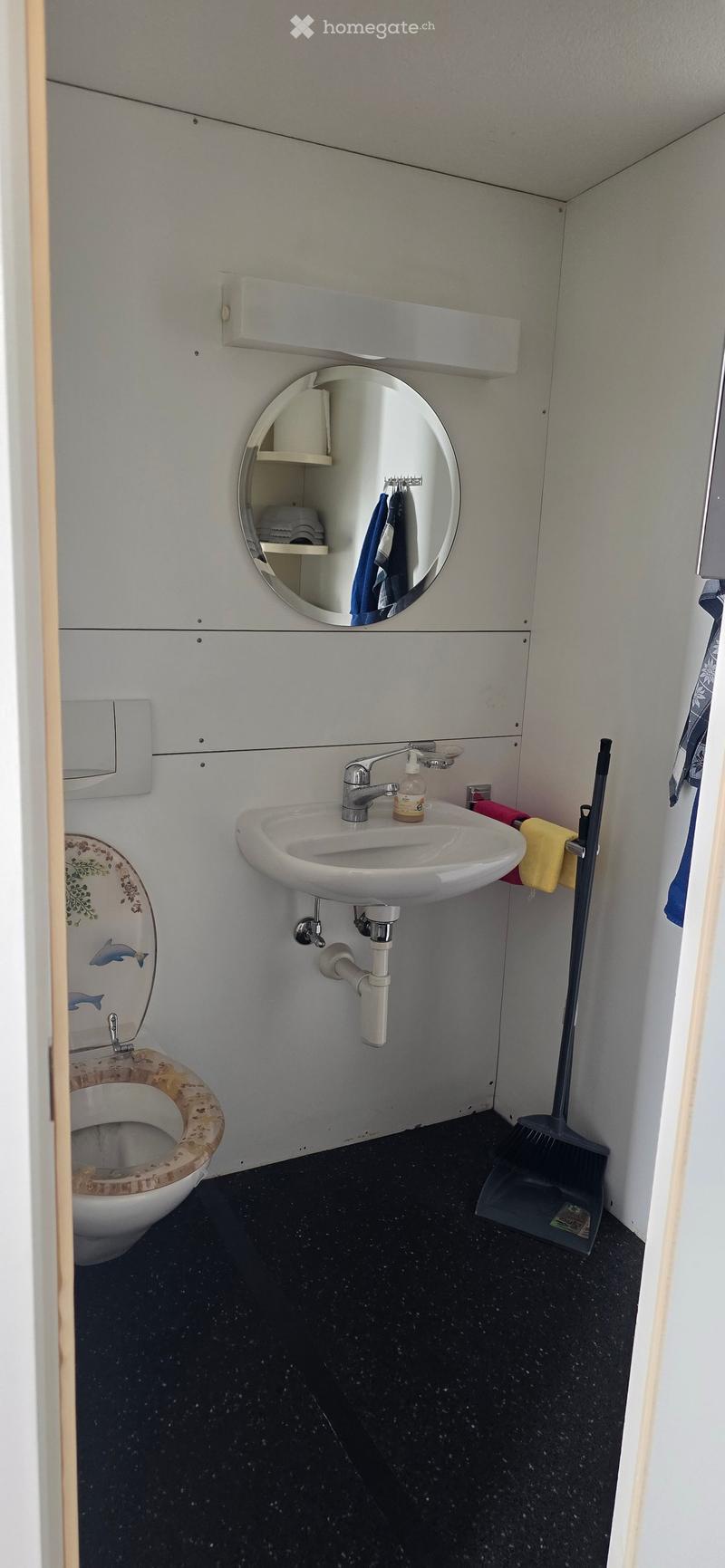 Compact bathroom with a white sink, chrome faucet, toilet with floral seat cover, round mirror with built-in shelf, and a broom leaning against the wall.