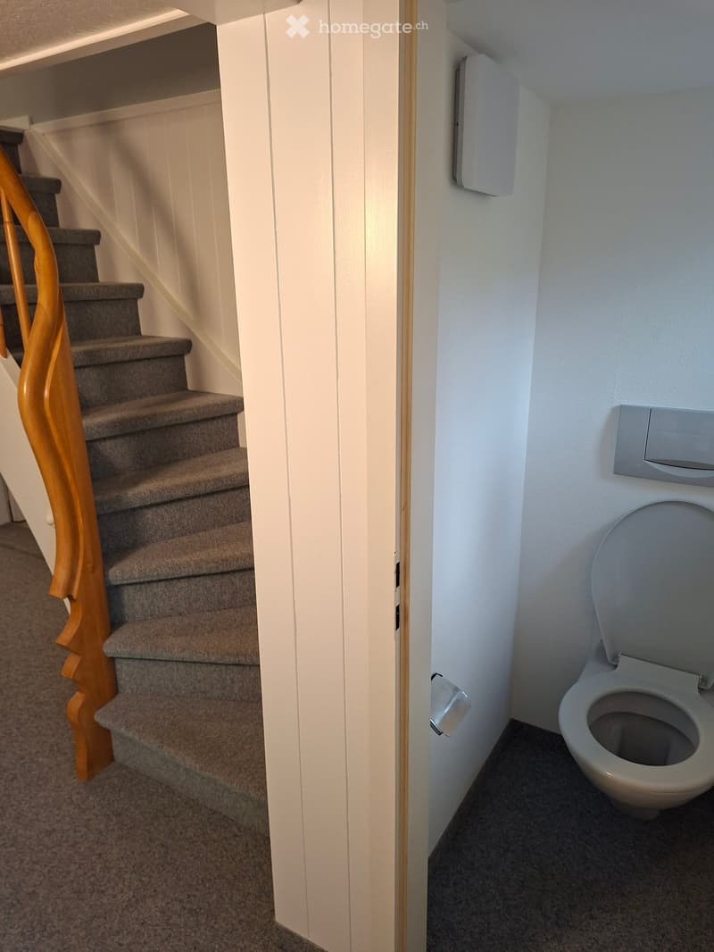 Small bathroom with a toilet, white walls, and a carpeted floor. A staircase with a wooden handrail is visible to the left.
