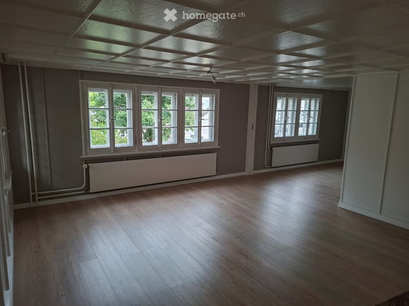 Empty room with wooden flooring, large windows, radiators, and a ceiling light fixture.