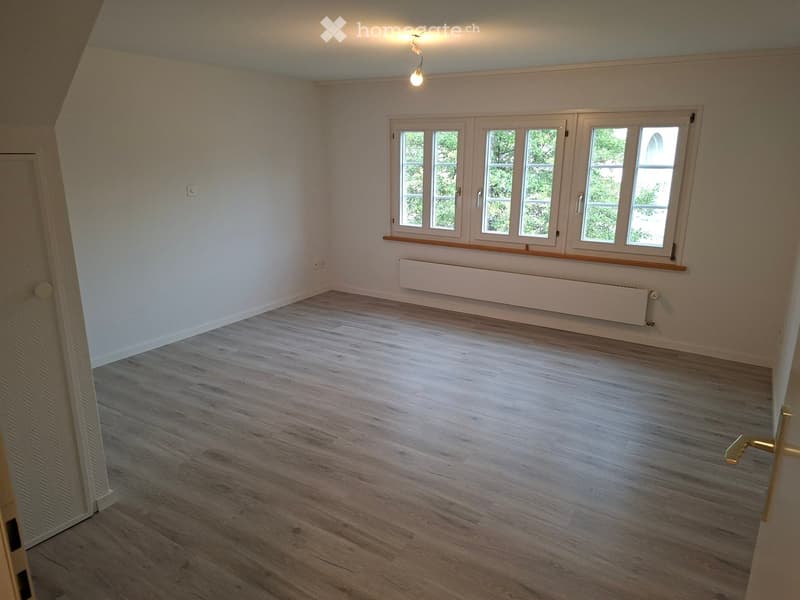 Empty room with wooden flooring, white walls, large windows, radiator, and a single light fixture on the ceiling.