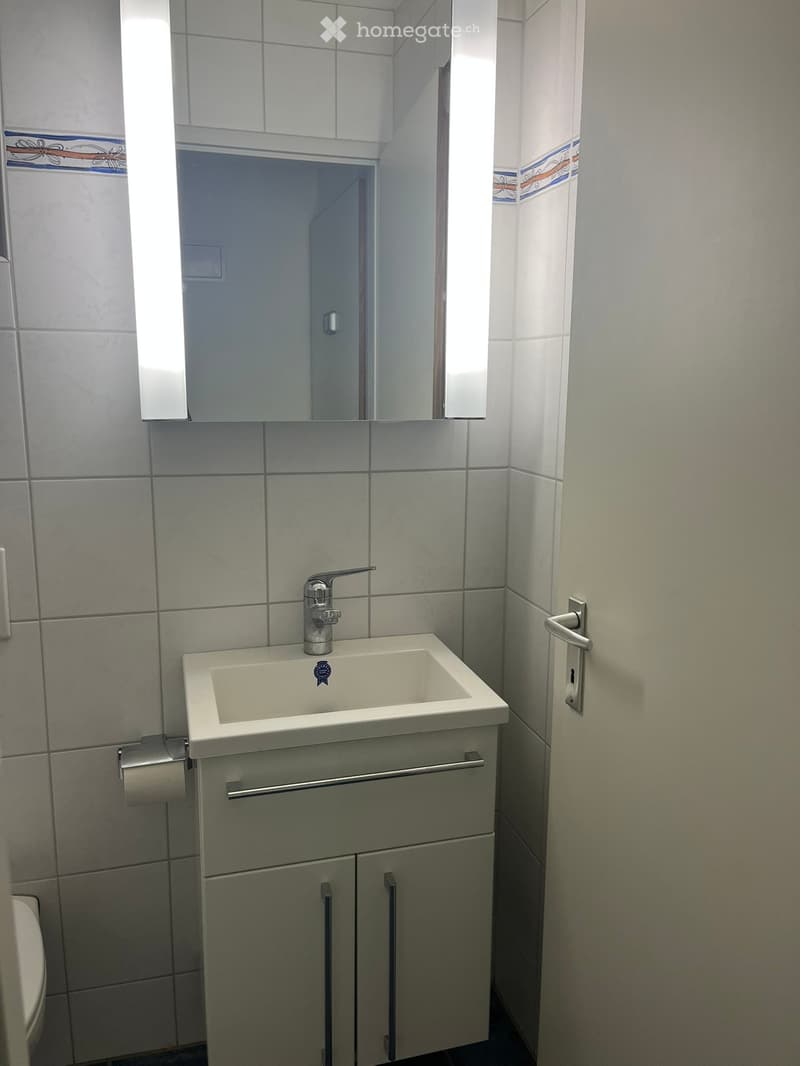 Modern bathroom with a white sink, chrome faucet, mirrored cabinet, and grey cabinet with silver handles.