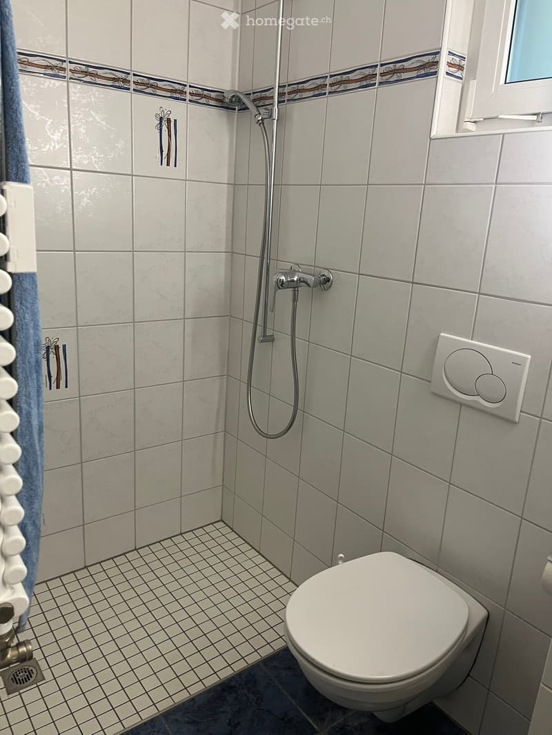 Modern bathroom with white tiles, a toilet, a shower with a handheld sprayer, and a towel hanging on a rack.