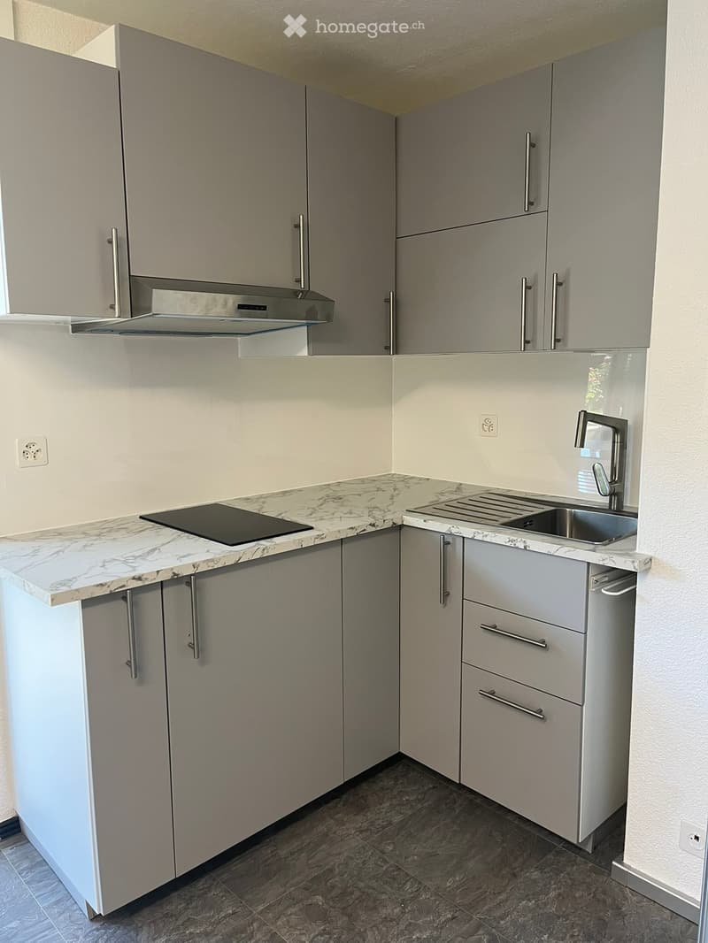 Modern kitchen with light grey cabinets, marble countertop, stainless steel sink and faucet, built-in stove, and range hood.