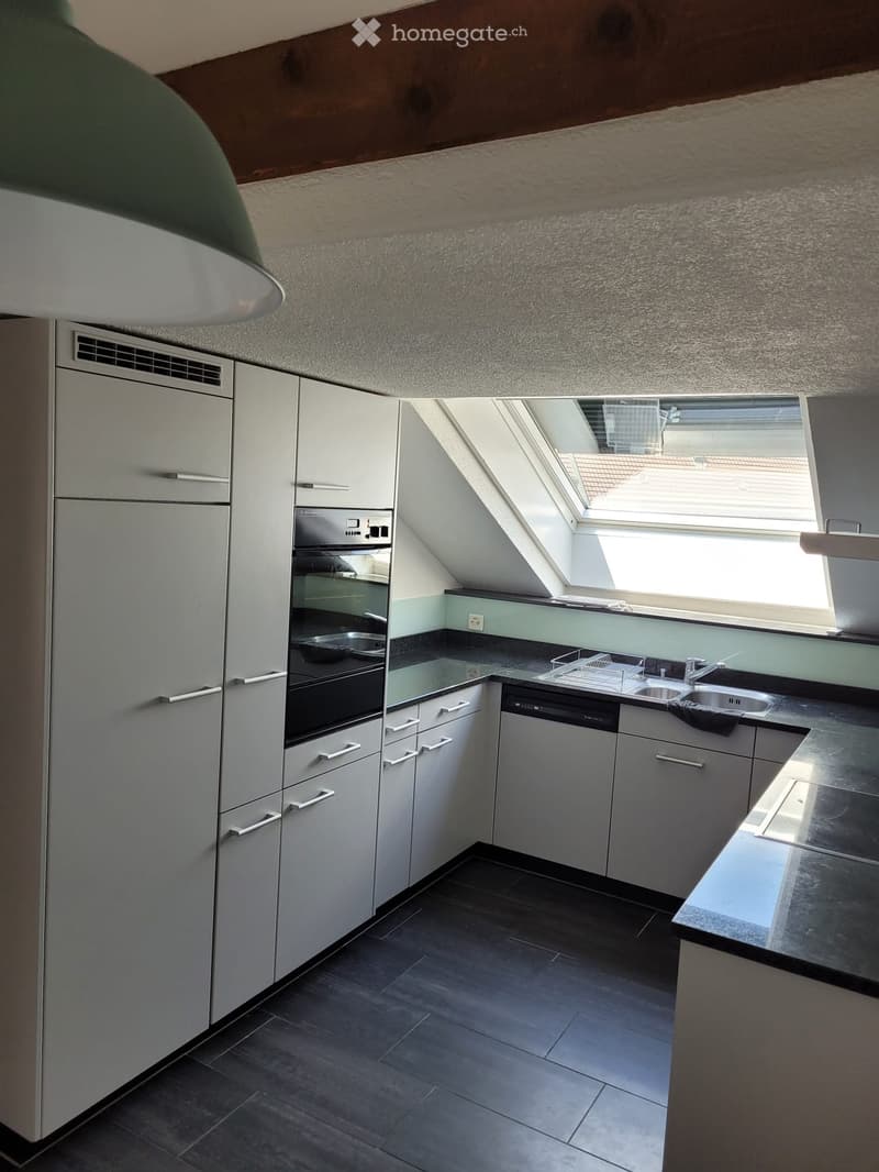Modern kitchen with white cabinets, stainless steel appliances, dark countertops, and a skylight window above the sink.