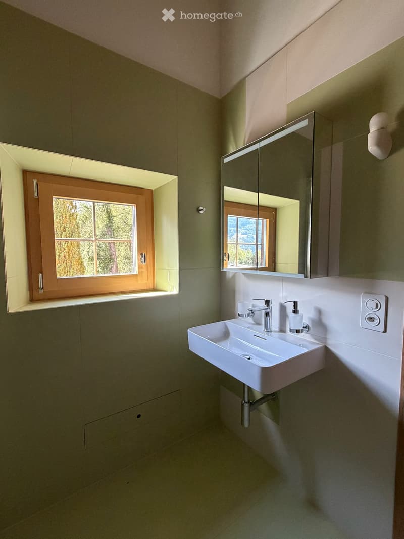 Einmaliges Haus mit grossem Garten und weiter Aussicht ins Domleschg (15)