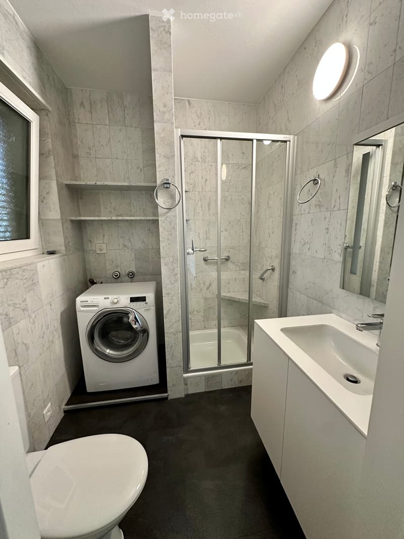 Luminoso Appartamento di 3.5-stanze// Charming 3.5-Room Apartment (6)