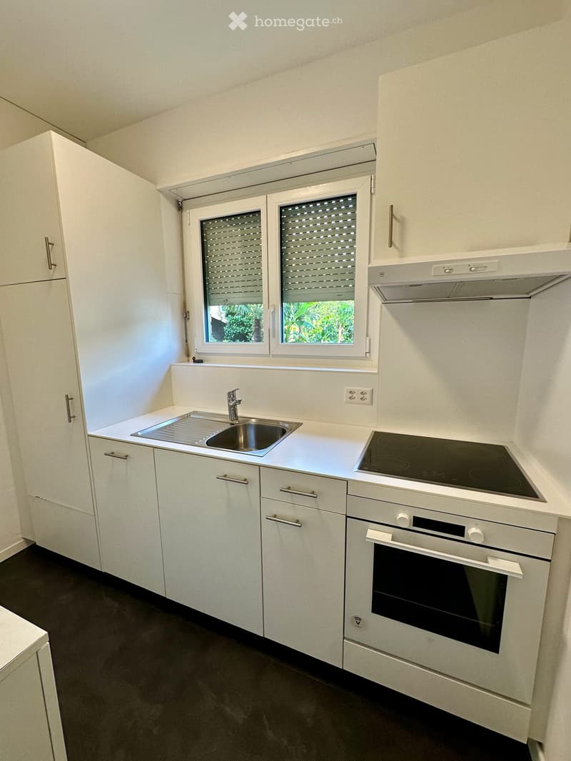 Luminoso Appartamento di 3.5-stanze// Charming 3.5-Room Apartment (3)